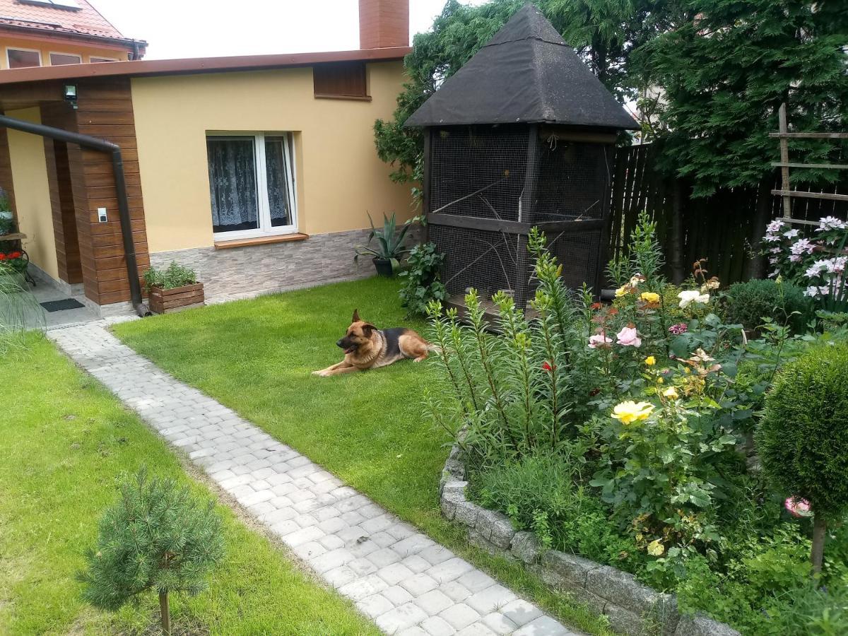 Agroturystyka U Agaty Chęciny Dış mekan fotoğraf