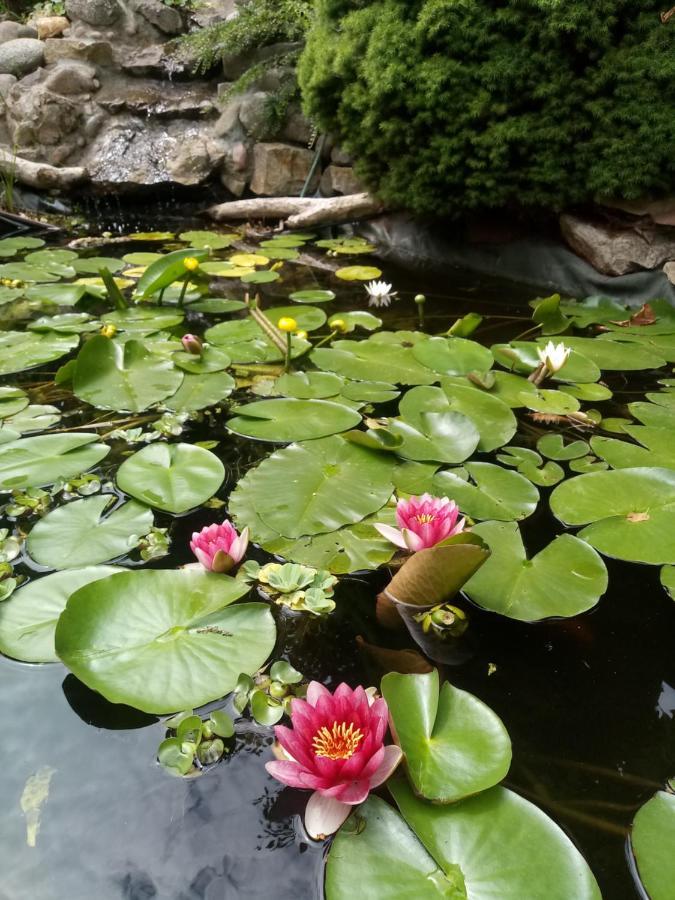 Agroturystyka U Agaty Chęciny Dış mekan fotoğraf